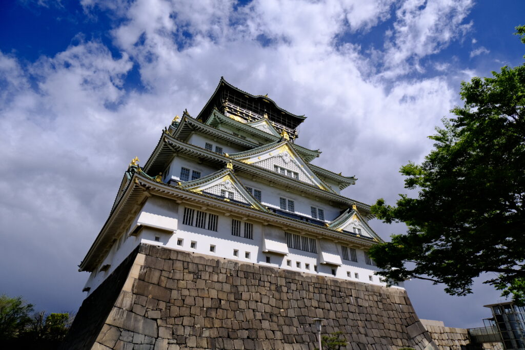 DSCF6293-1024x683.jpg