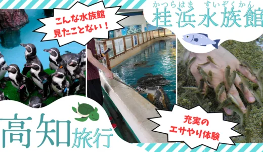 【桂浜水族館】高知県の水族館があまりにも型破りだった件