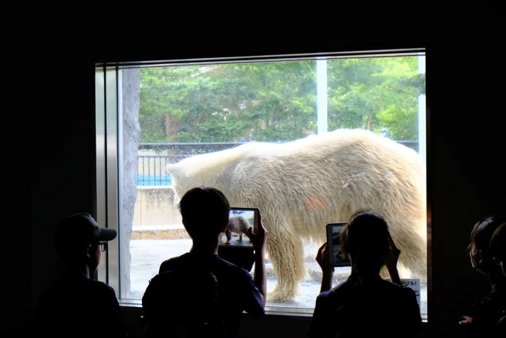 旭山動物園の穴場の写真