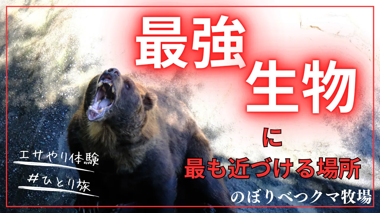 noboribetu-kuma-png.webp