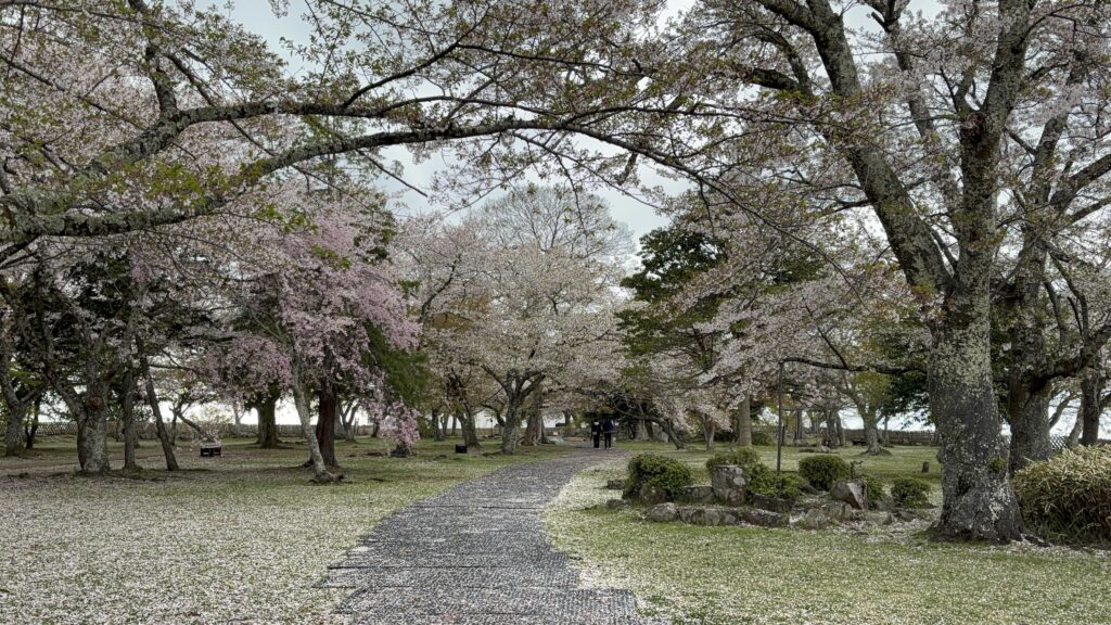 彦根城の敷地内