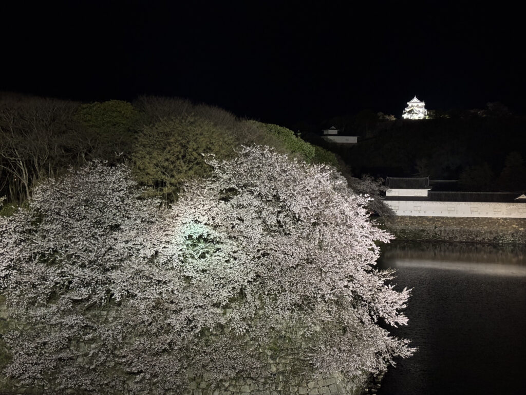 彦根キャッスル リゾート&スパの客室から見える彦根城(夜)