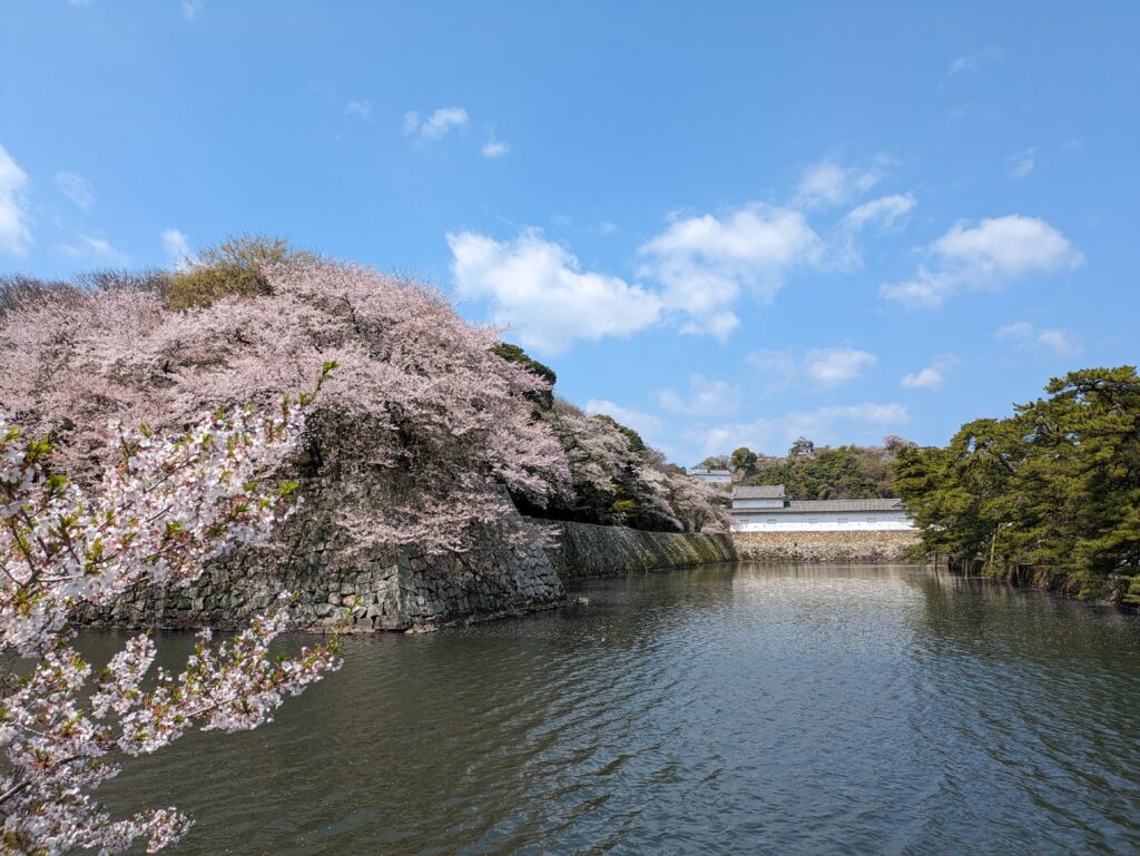 ホテルから見た彦根城
