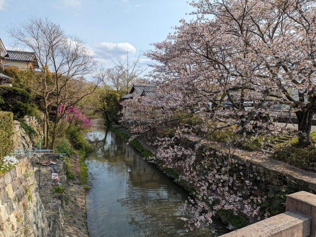 近江八幡の八幡堀