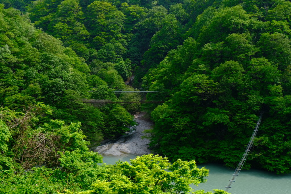 サル橋