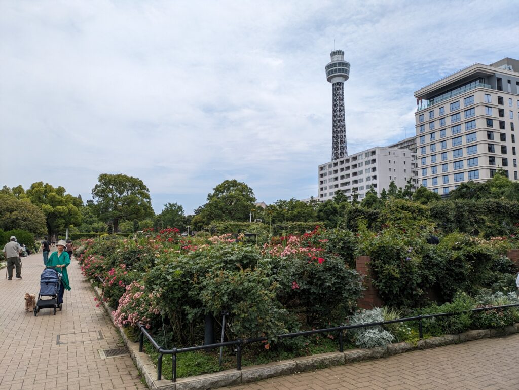 山下公園の植物