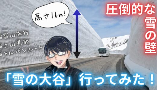 【ツアー参加が楽】立山黒部・雪の大谷に行ってみた体験記