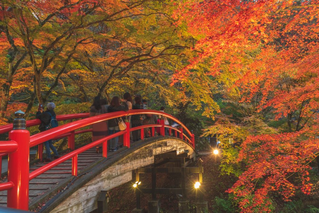 秋の河鹿橋