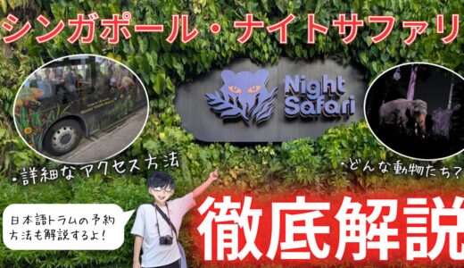【予約＆行き方解説】シンガポールのナイトサファリに日本語トラムで行ってみた