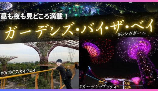 【シンガポール観光】ガーデンズバイザベイのスカイウェイ＆ショーを徹底解説【所要時間・料金】