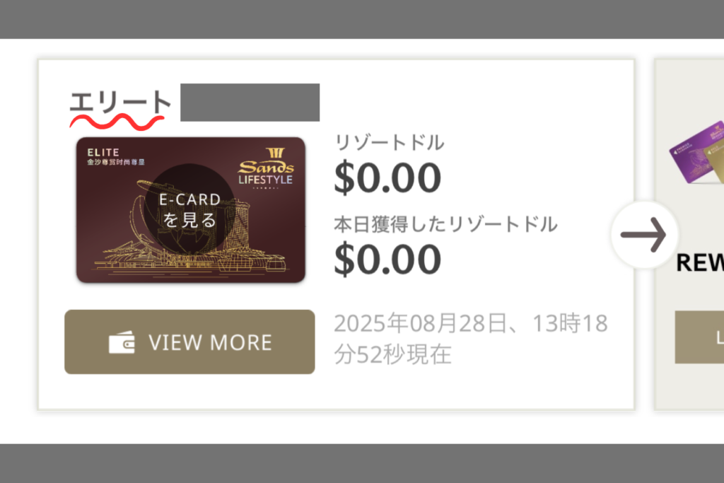 サンズ・ライフスタイルのエリート