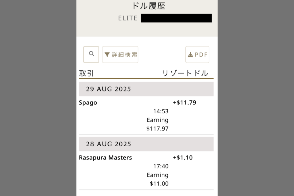 リゾートドルの履歴