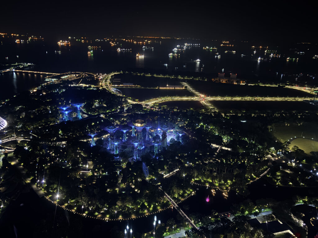 マリーナベイサンズのプールから見るガーデンズ・バイ・ザ・ベイ