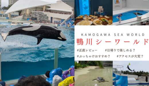 【シャチ好き必見】鴨川シーワールドに日帰りバスで行ってみた【レビュー】