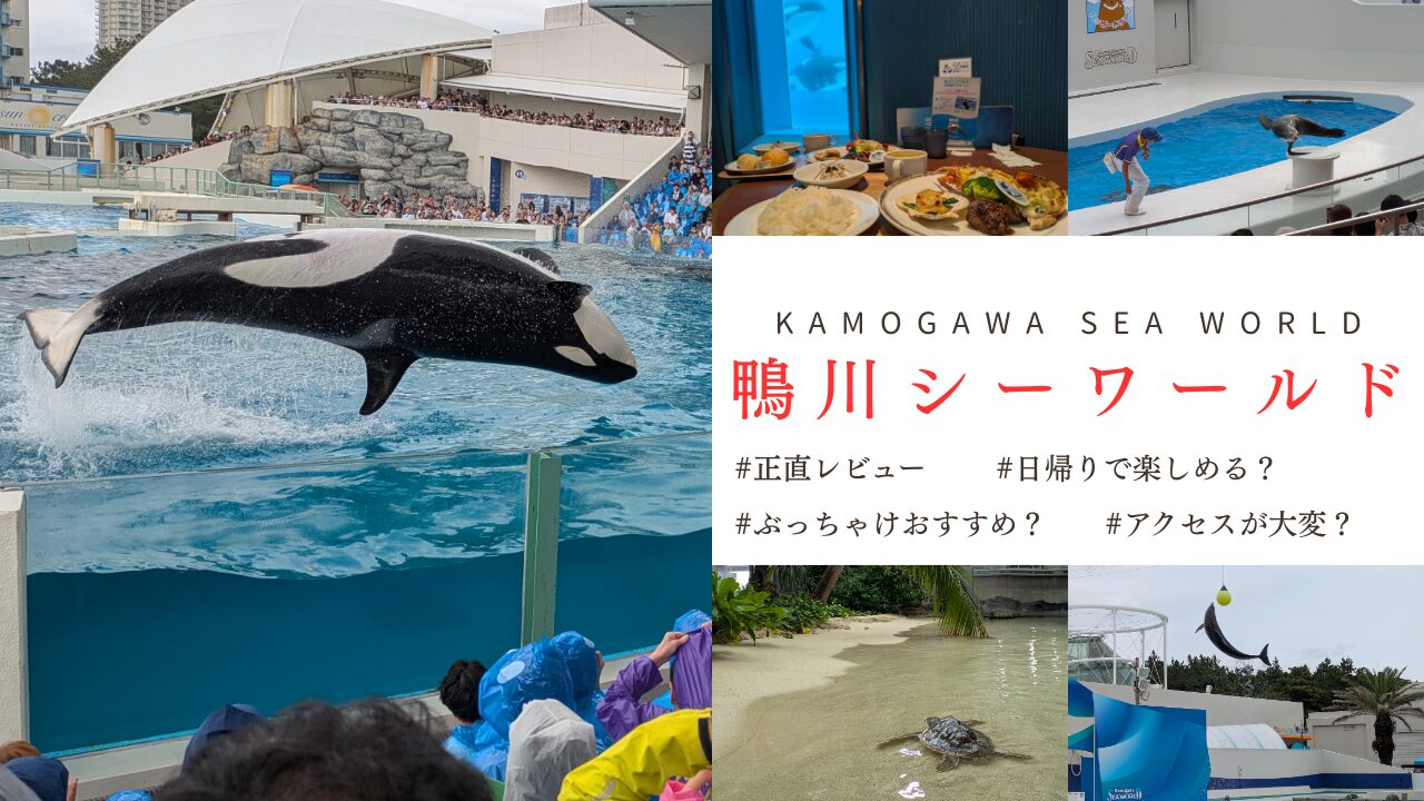 シャチ好き必見】鴨川シーワールドに日帰りバスで行ってみた【レビュー】 | あぐの気ままな旅行記
