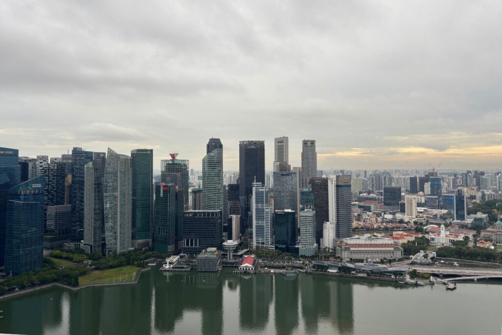 朝のプールからの景色