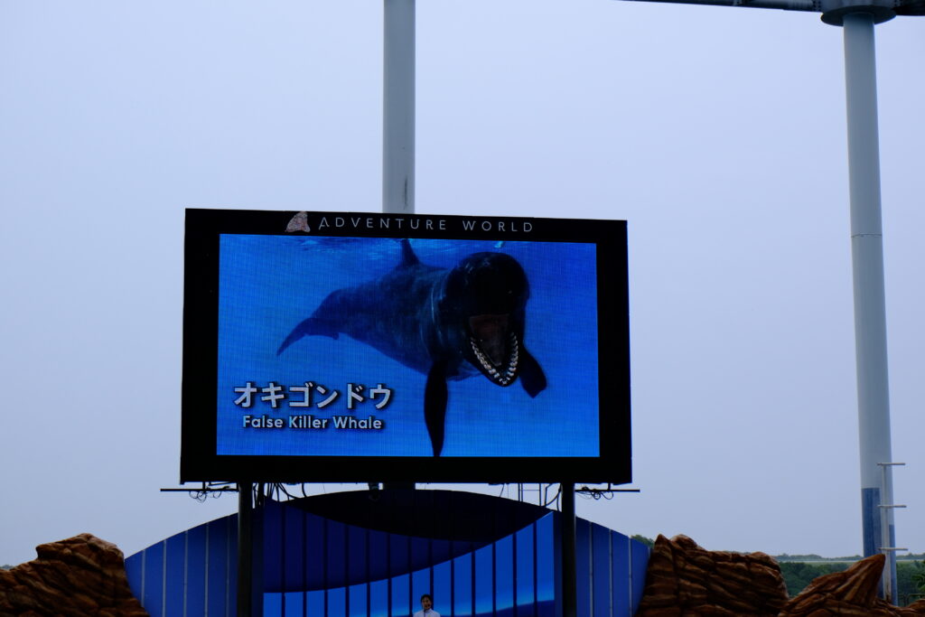 ゴンドウの説明画面