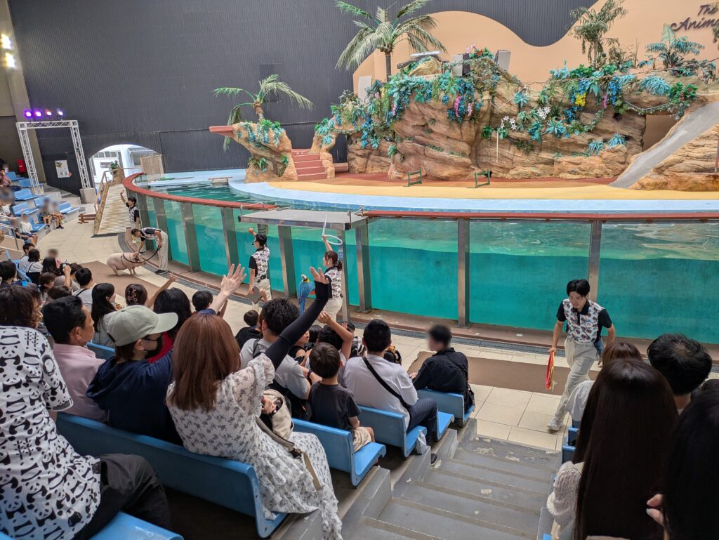 観客も参加するアニマルアクション