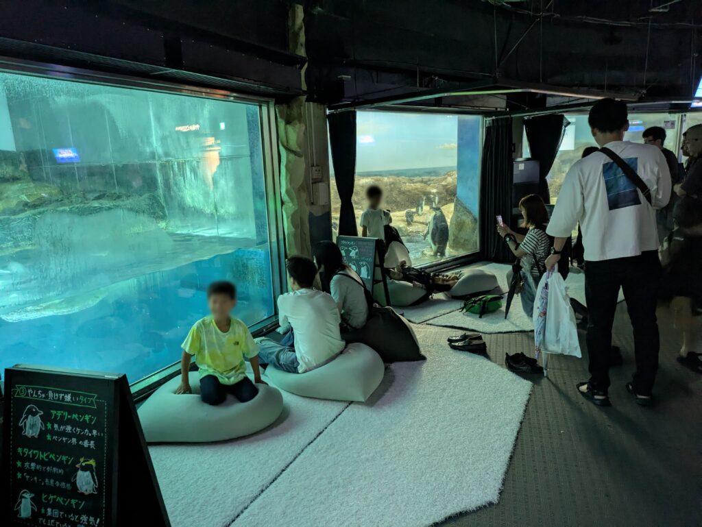 海獣館の中