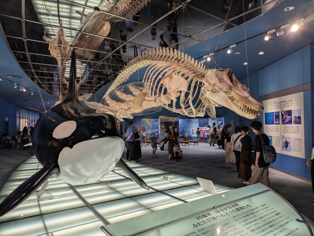 名古屋港水族館の資料展示