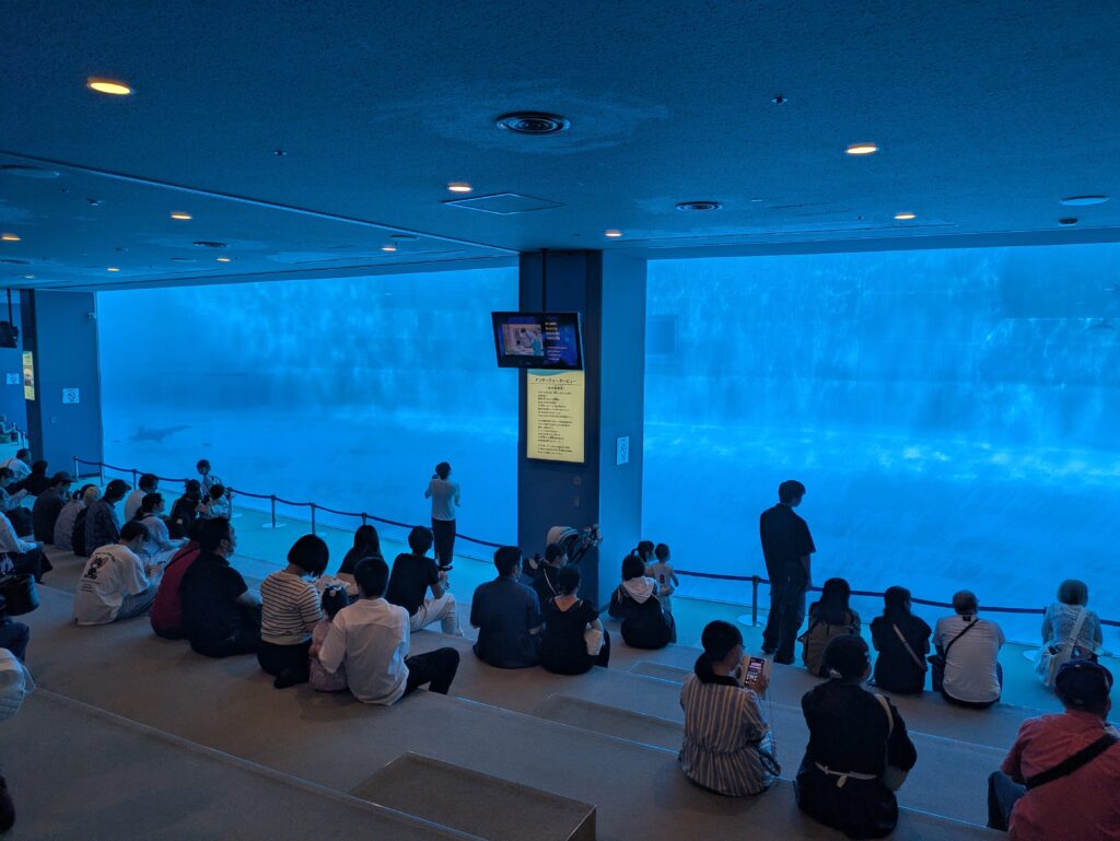 名古屋港水族館のアンダーウォータービュー