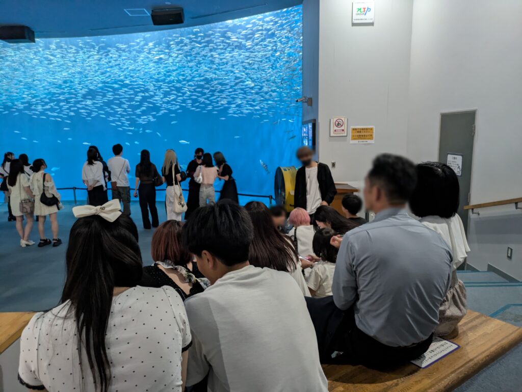 イワシトルネード観賞用の座席