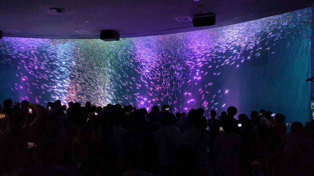 名古屋港水族館のイワシトルネード