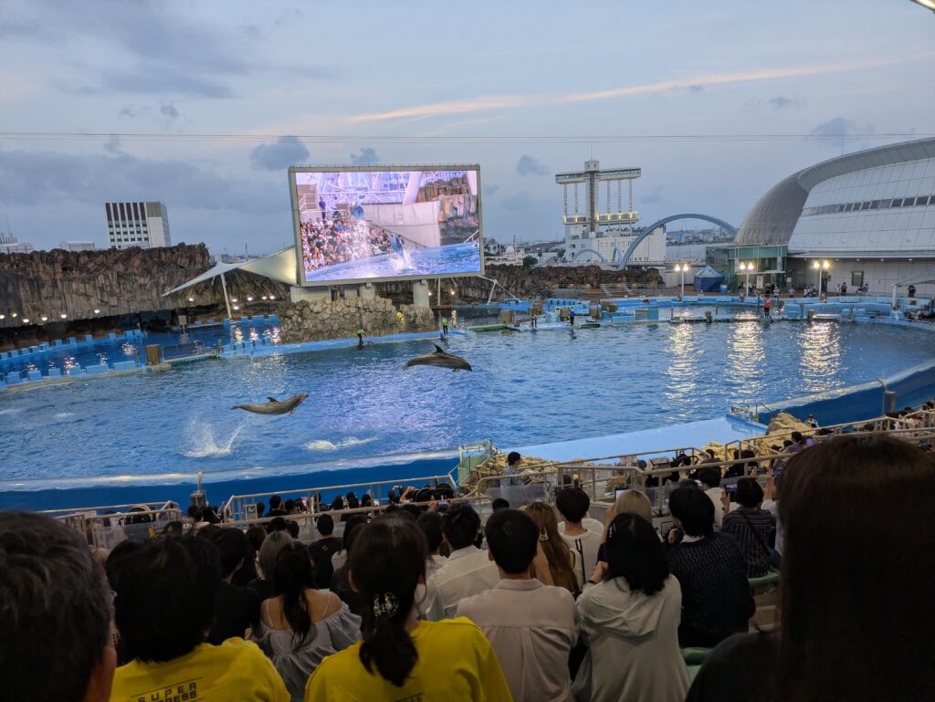 名古屋港水族館のイルカショー