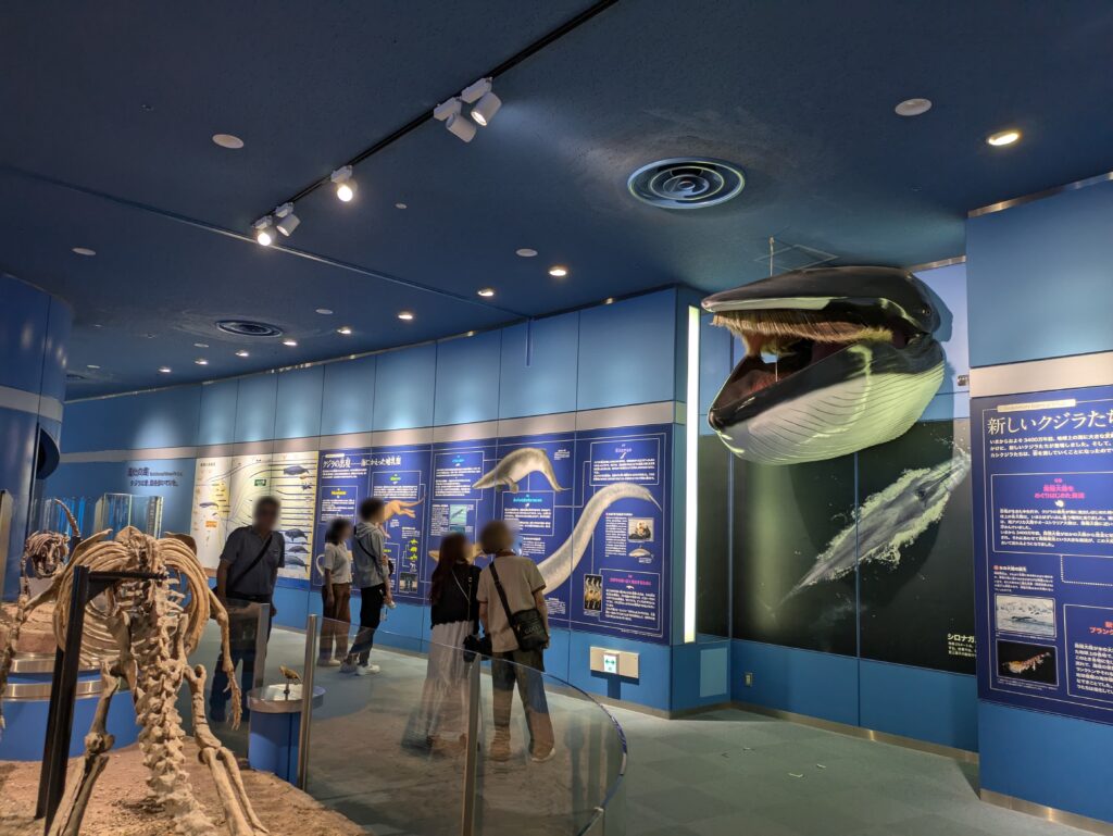名古屋港水族館の資料展示