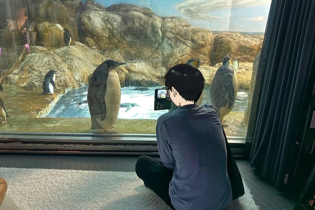 ペンギンを撮影する私